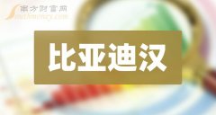 财富牛配资 7月17日收盘要闻：比亚迪汉概念报跌，德赛西威跌近5%