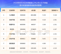 山西股票配资 2024年8月16日板块复盘：合同能源上市公司八大熊股一览