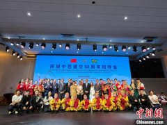 股票自动打新 中国驻巴西使馆举行庆祝中巴建交50周年招待会